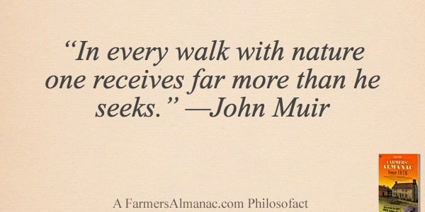 “In every walk with nature one receives far more than he seeks.” — John Muirimage preview