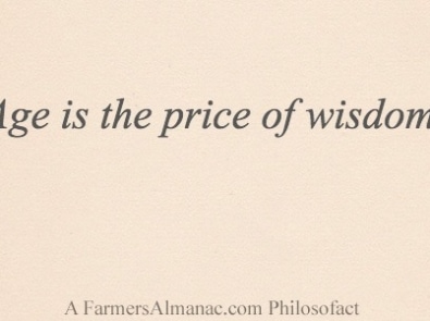 Thought of the Year: Age is the price of wisdom. featured image