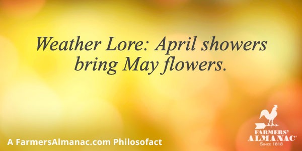 Weather Lore: April showers bring May flowers.image preview