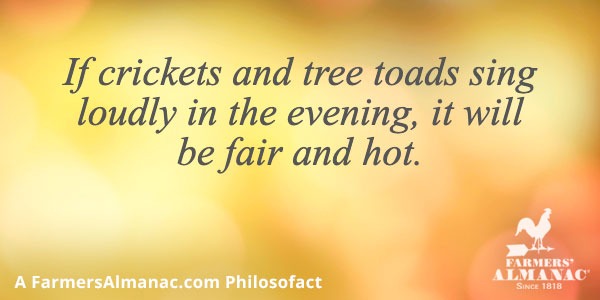 If crickets and tree toads sing loudly in the evening, it will be fair and hot.image preview