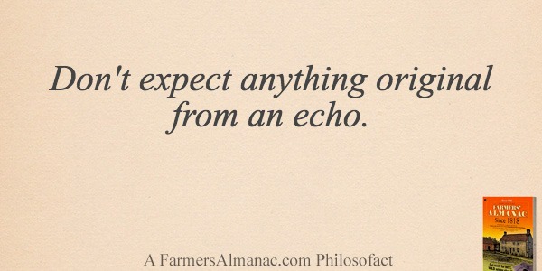 Don’t expect anything original from an echo.image preview
