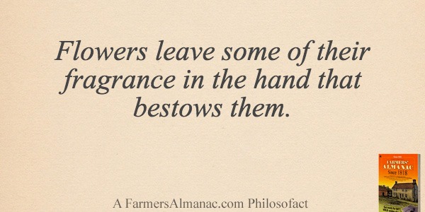 Flowers leave some of their fragrance in the hand that bestows them.image preview