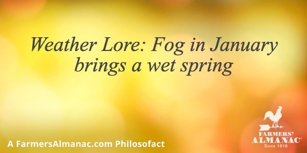 Weather Lore: Fog in January brings a wet springimage preview