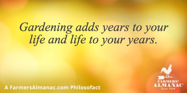 Gardening adds years to your life and life to your years.image preview