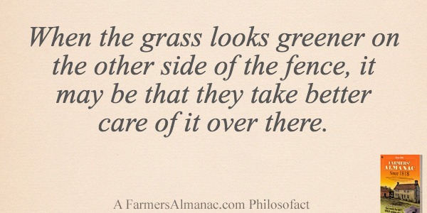 When the grass looks greener on the other side of the fence, it may be that they take better care of it over there.image preview