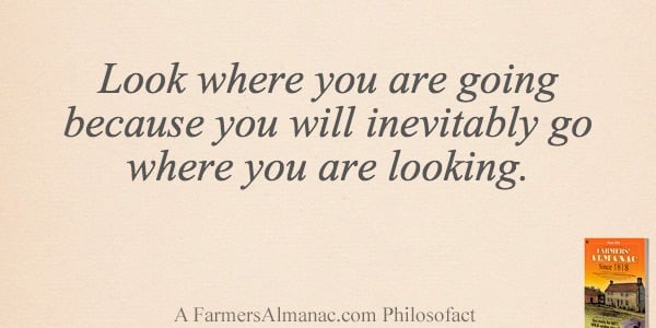Look where you are going because you will inevitably go where you are looking.image preview