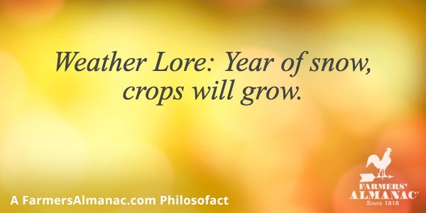 Weather Lore: Year of snow, crops will grow.image preview