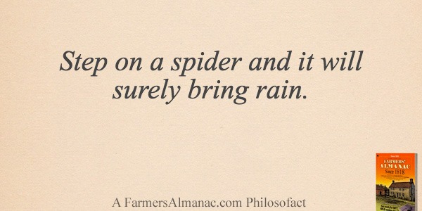 Step on a spider and it will surely bring rain.image preview