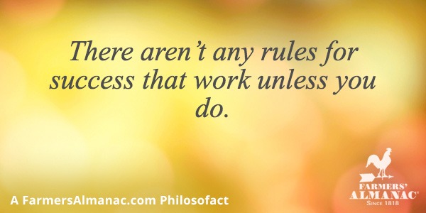 There aren’t any rules for success that work unless you do.image preview