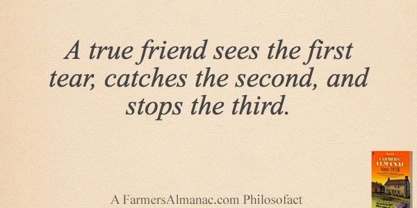 A true friend sees the first tear, catches the second, and stops the third.image preview