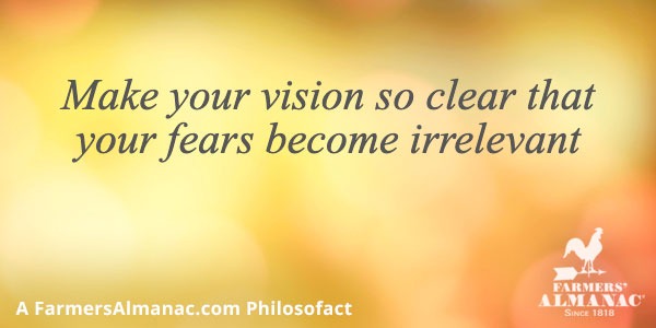 Make your vision so clear that your fears become irrelevantimage preview