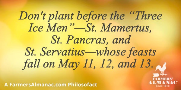 Don’t plant before the “Three Ice Men”—St. Mamertus, St. Pancras, and St. Servatius—whose feasts fall on May 11, 12, and 13. image preview