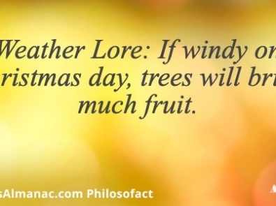 Weather Lore: If windy on Christmas day, trees will bring much fruit. featured image