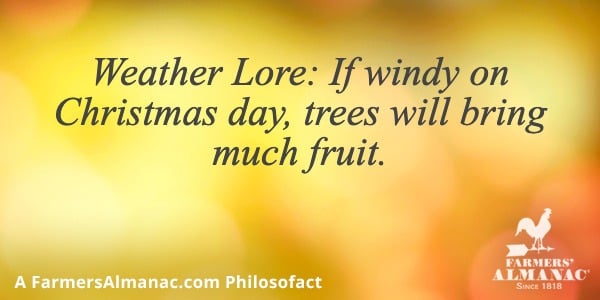 Weather Lore: If windy on Christmas day, trees will bring much fruit.image preview