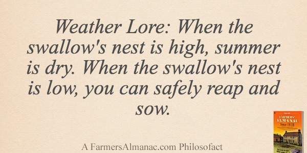 Weather Lore: When the swallow’s nest is high, summer is dry. When the swallow’s nest is low, you can safely reap and sow.image preview