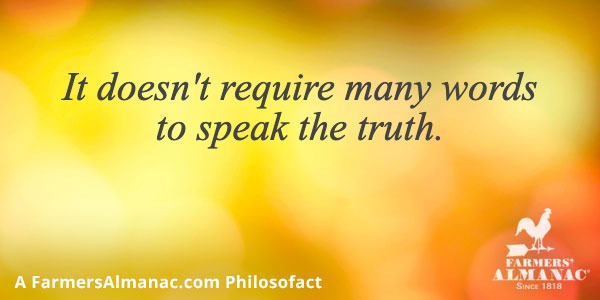It doesn’t require many words to speak the truth.image preview