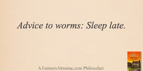 Advice to worms: Sleep late.image preview