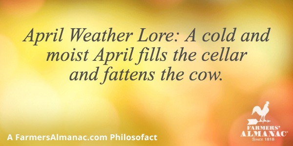 April Weather Lore: A cold and moist April fills the cellar and fattens the cow.image preview