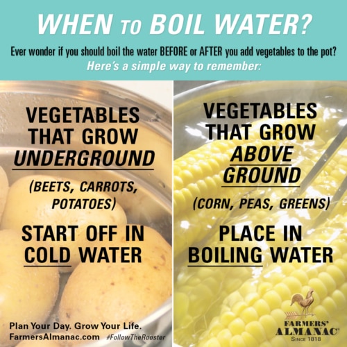 Boil water graphic. When to boil the water.