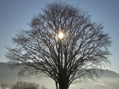 The Midpoint of Winter featured image