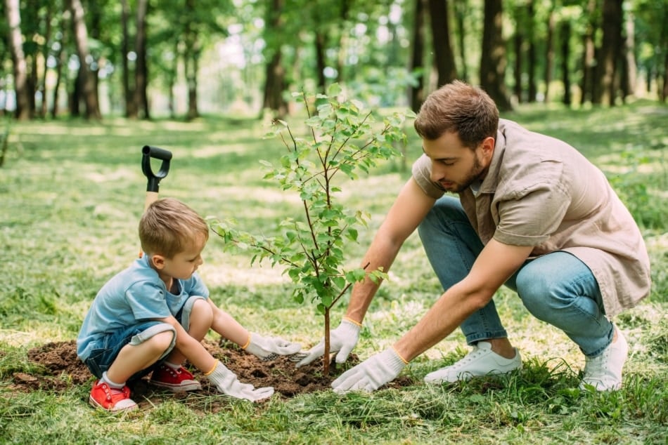 Planting a tree on Arbor Day.