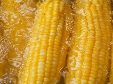 Corn - Stock photography