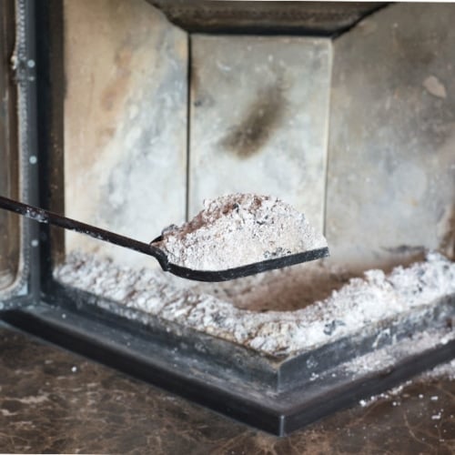 Cleaner Fireplace Clean Up image
