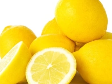 Sorbet - Lemon