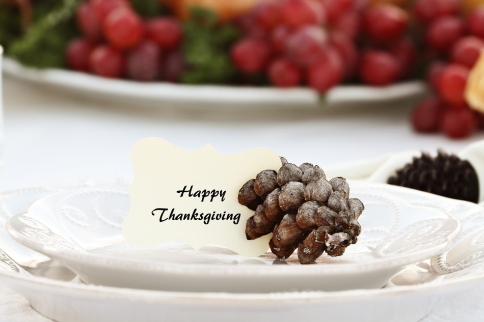 Thanksgiving Holiday place setting with a "Happy Thanksgiving" note card placed on plate held in place by a pine cone. Extreme shallow depth of field with selective focus on card.