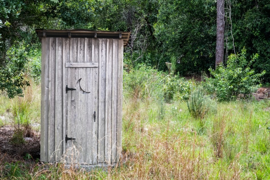 Old outhouse with trees and bushes in the background.
