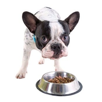 Prevent Skidding Pet Food Bowls image