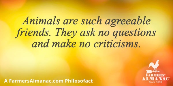 Animals are such agreeable friends. They ask no questions and make no criticisms.image preview