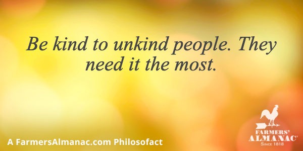 Be kind to unkind people. They need it the most.image preview