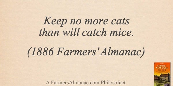 Keep no more cats than will catch mice. (1886 Farmers’ Almanac)image preview