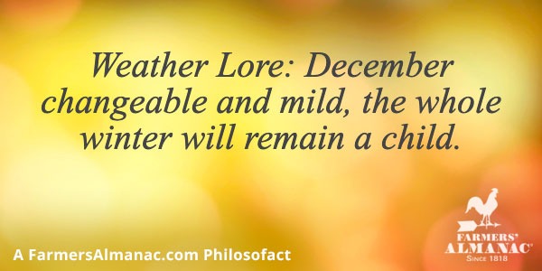Weather Lore: December changeable and mild, the whole winter will remain a child.image preview