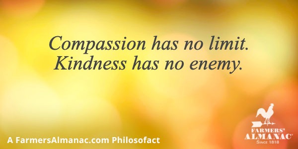 Compassion has no limit. Kindness has no enemy.image preview