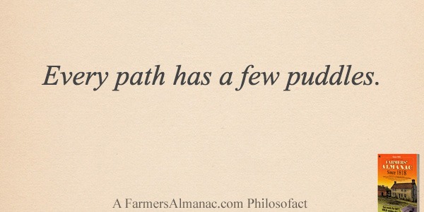 Every path has a few puddles.image preview