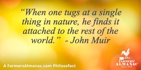 “When one tugs at a single thing in nature, he finds it attached to the rest of the world.”  – John Muirimage preview