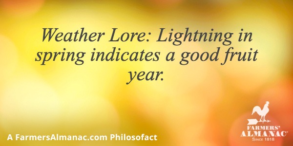 Weather Lore: Lightning in spring indicates a good fruit year.image preview