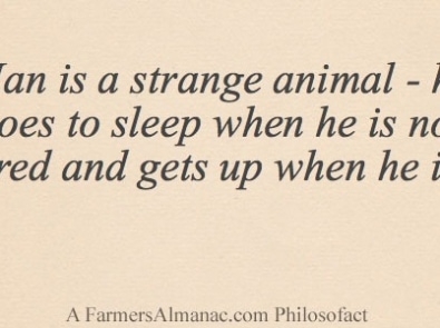Man is a strange animal – he goes to sleep when he is not tired and gets up when he is. featured image