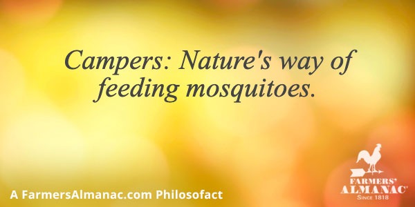 Campers: Nature’s way of feeding mosquitoes.image preview