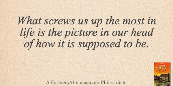 What screws us up the most in life is the picture in our head of how it is supposed to be.image preview