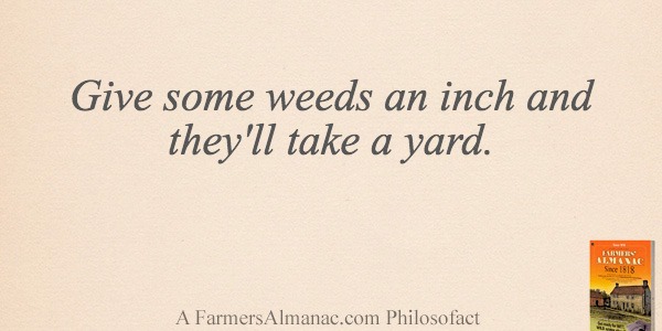 Give some weeds an inch and they’ll take a yard.image preview
