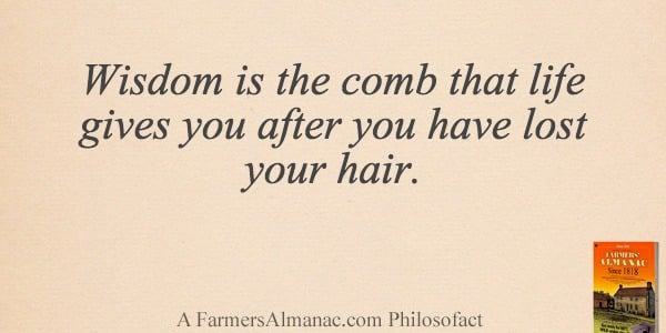 Wisdom is the comb that life gives you after you have lost your hair.image preview