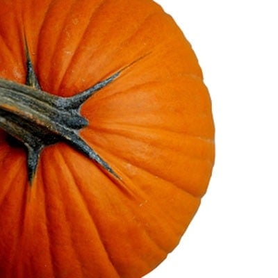 Preserving Your Halloween Pumpkin image