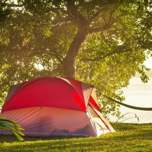 Don’t Let Your Tent Get Moldy Or Musty image