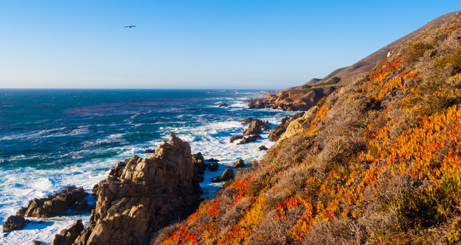 Waves washing up against an autumn colored rocky shores near Big Sur Highway in California.