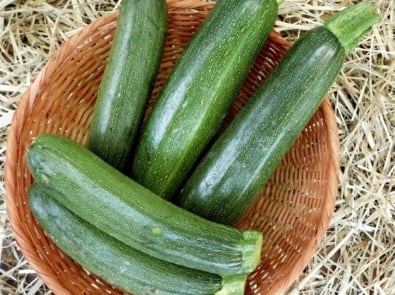 Cucumber - Produce