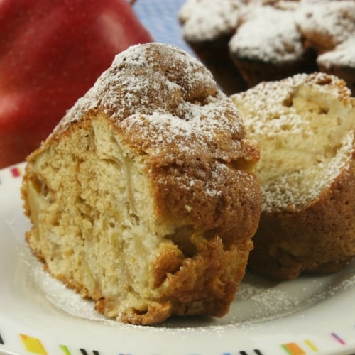 Slice of delicious fresh baked homemade Apple cake.