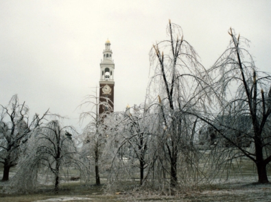 January 1998 North American ice storm - Burlington